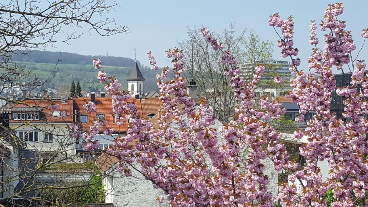 Villa Am Rosenfelspark Lörrach Eksteriør bilde