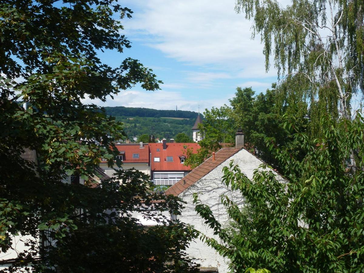 Villa Am Rosenfelspark Lörrach Eksteriør bilde