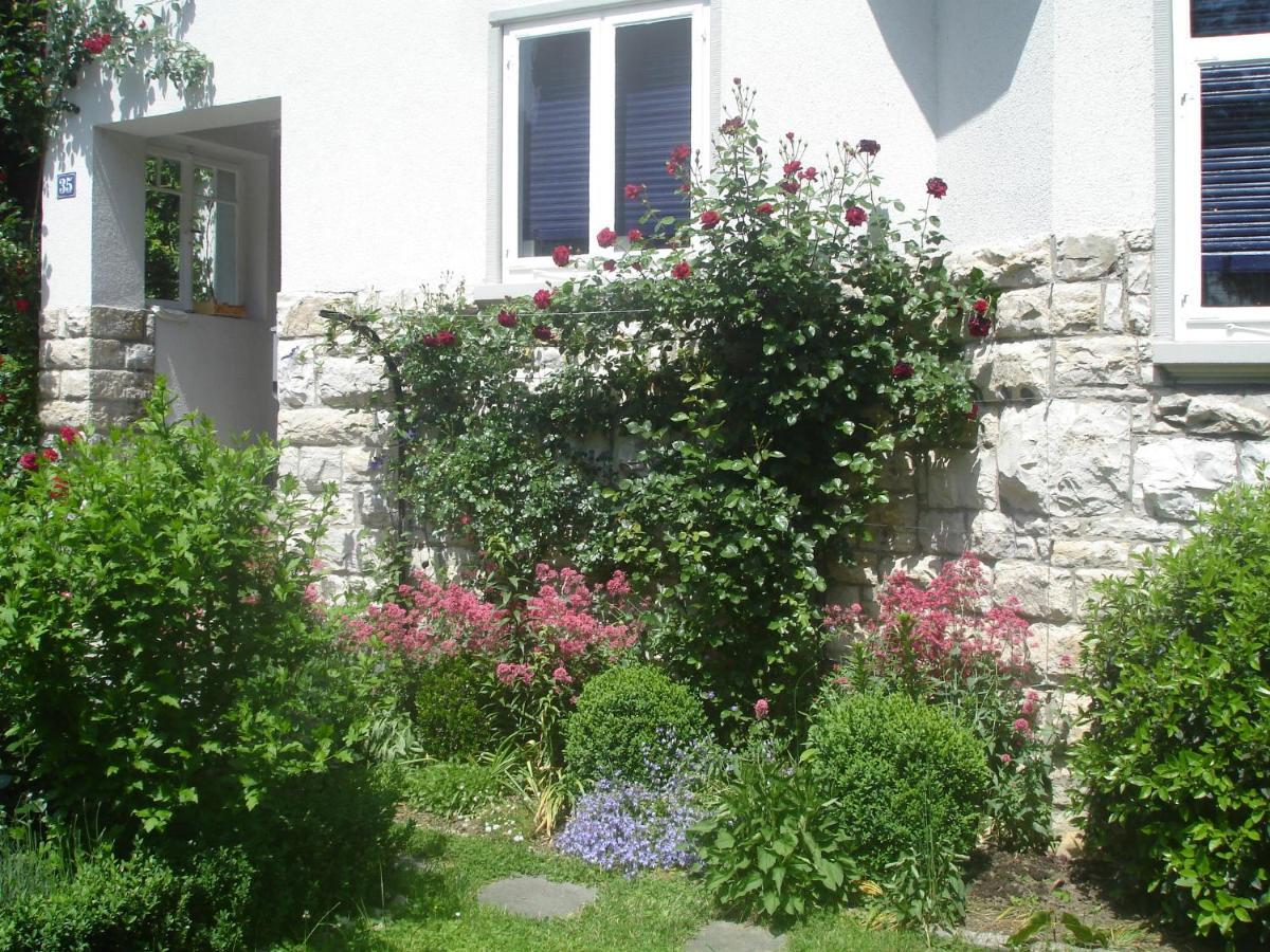 Villa Am Rosenfelspark Lörrach Eksteriør bilde