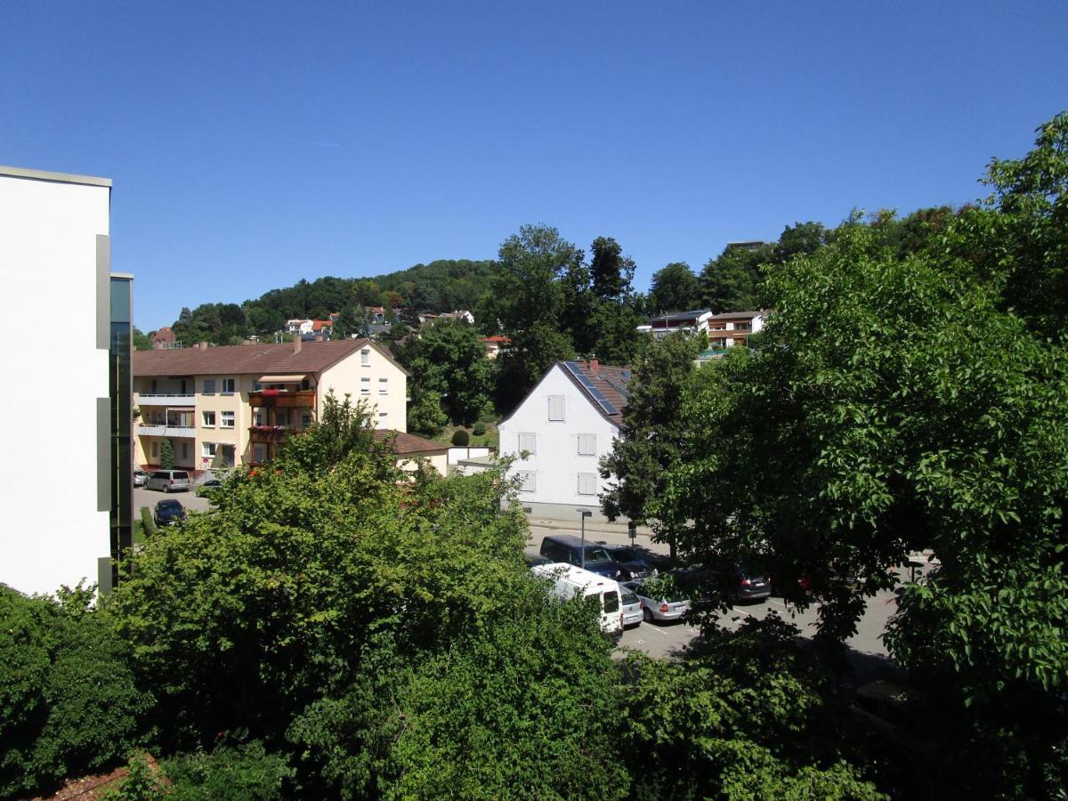 Villa Am Rosenfelspark Lörrach Eksteriør bilde