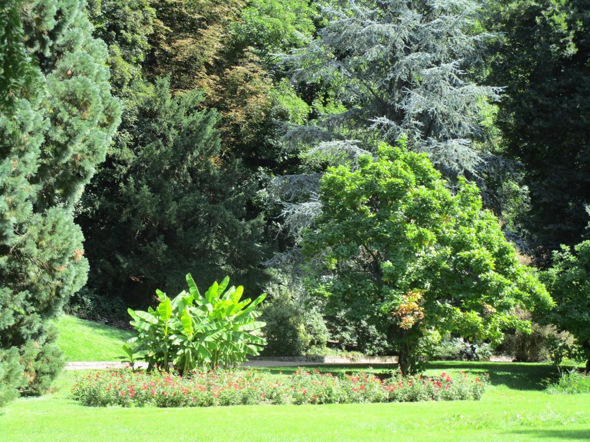 Villa Am Rosenfelspark Lörrach Eksteriør bilde