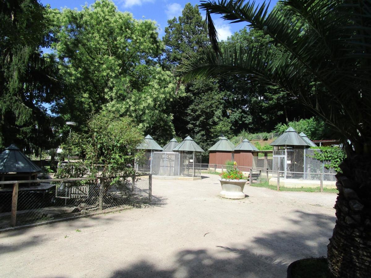 Villa Am Rosenfelspark Lörrach Eksteriør bilde